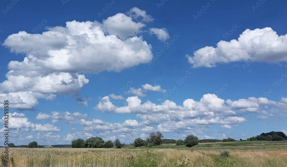 summer landscape with fields and white clouds summer landscape with fields and white clouds