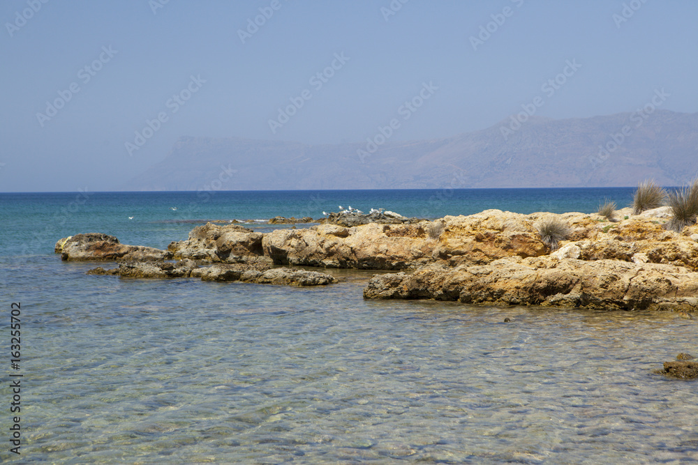 Gulls on the sea shoal in Greece