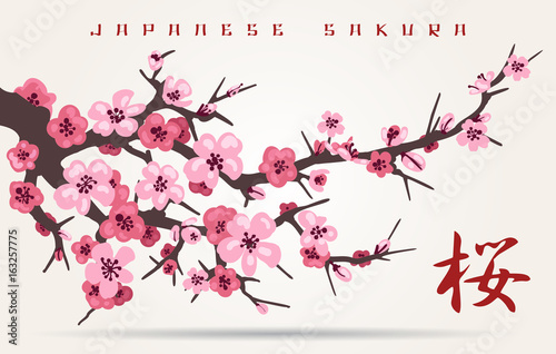 Japan cherry blossom branching tree vector illustration. Japanese invitation card with asian blossoming plum branch