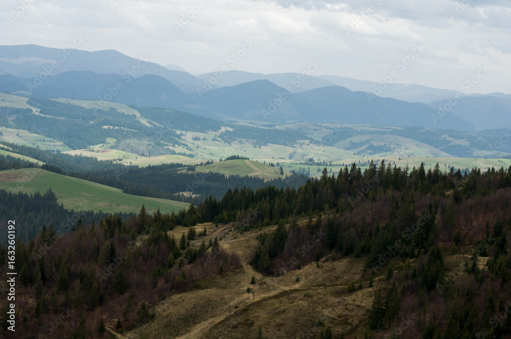 Beautiful mountain landscape, with mountain peaks covered with forest and a cloudy sky. Carpathian mountains, Europe