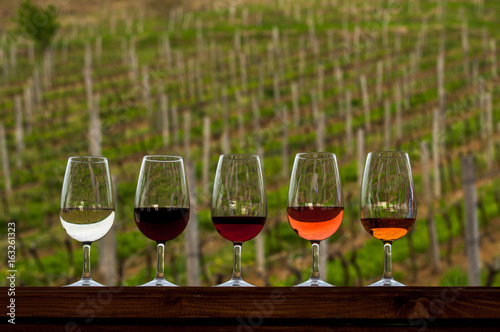 variety wine in glasses on a background of growing grapes on wodden barrel. Includes red, white, and rose.