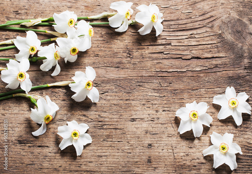 narcissus on wooden background