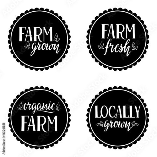 Labels with text organic, farm, fresh, locally grown. Hand lettered tags. Vector.