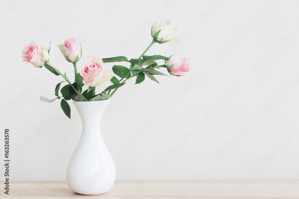 Obraz premium pink roses in vase on white background