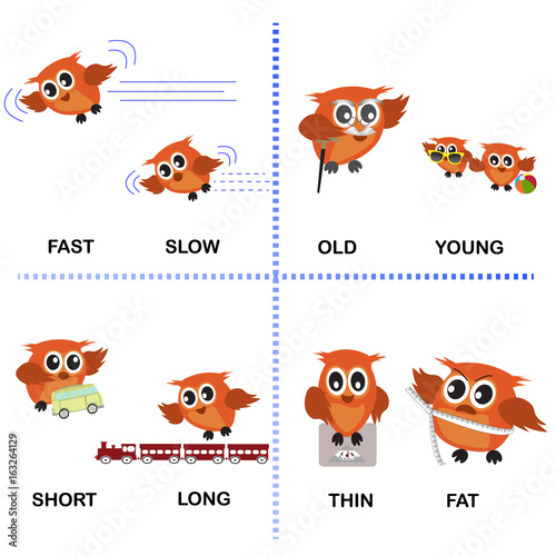 opposite word vector background for preschool (fast slow old young short long thin fat)