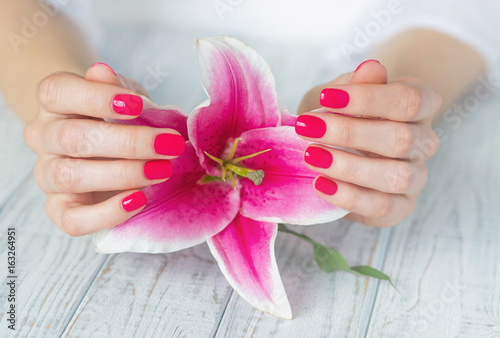 Beautiful woman hands with pink manicure and lily