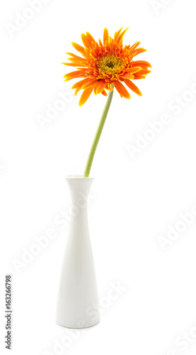 single gerbera  flower yellow on vase isolated © onairjiw