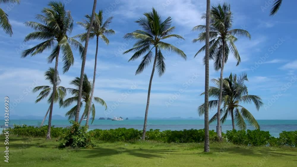 Palm Tree Coast with Sea View and Cruise Vessel Palm Tree Coast with Sea View and Cruise Vessel
