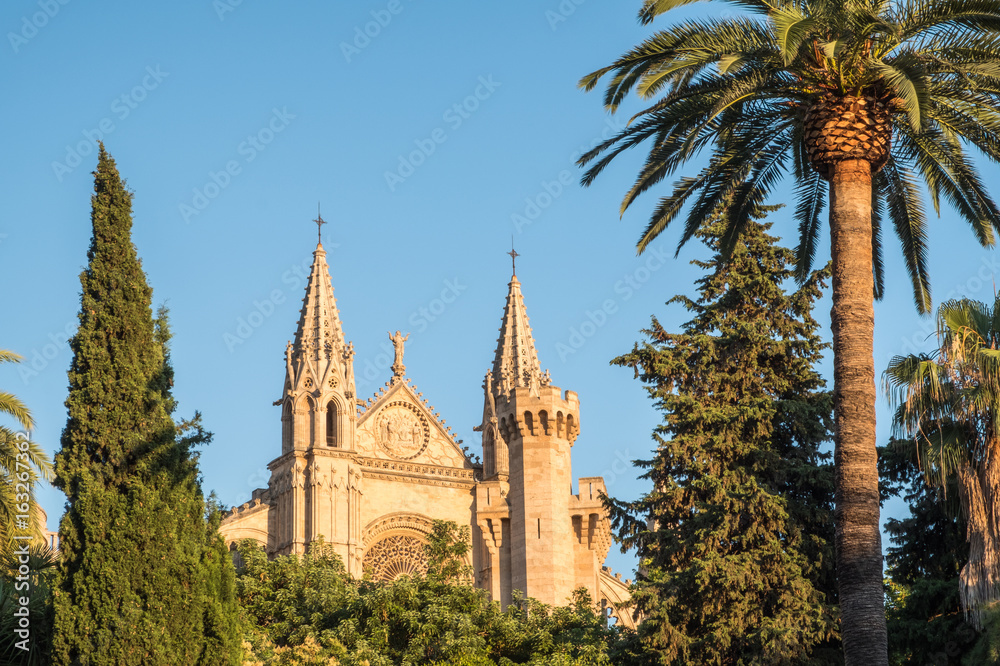Palma de Mallorca Cathedral behind some trees on a sunny day with blue sky as background