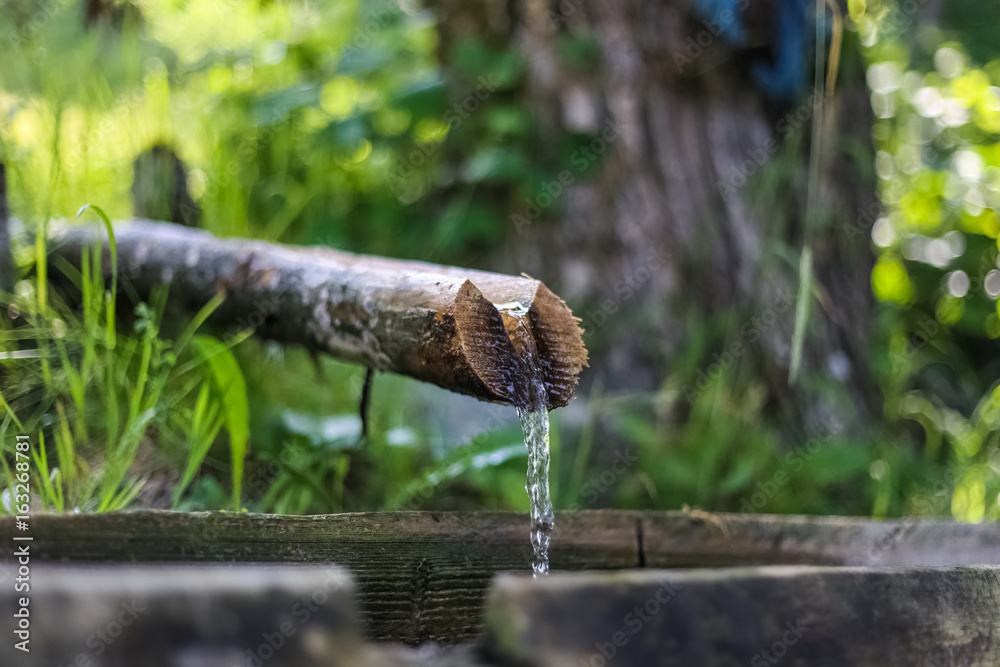 Water source, drinking water, natural spring water, clear, cold Water source, drinking water, natural spring water, clear, cold