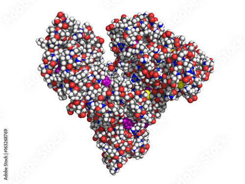 Human serum albumin, space-filling model