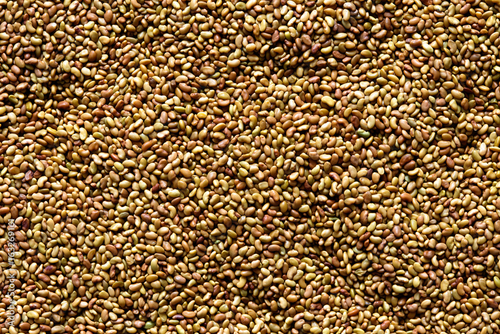 Background of alfalfa seeds. Background of alfalfa seeds.
