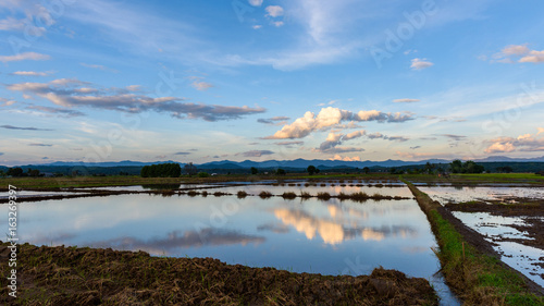 Rice field and cloud with mountain background, Thailand