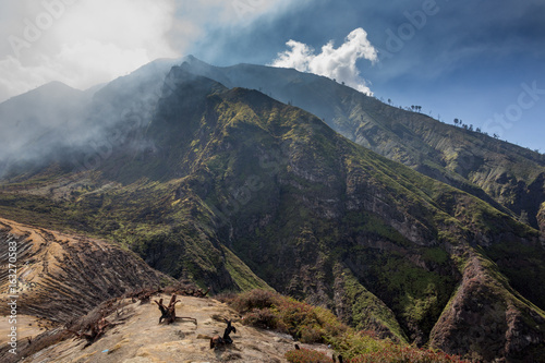 Verbrannte Baumstümpfe auf einem Vulkan - Ijen - Java - Indonesien