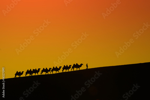 Camel Silk Road journey in the desert Xinjiang,China photo