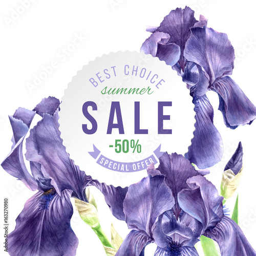 Fototapeta Naklejka Na Ścianę i Meble -  Hand drawn watercolor iris flowers