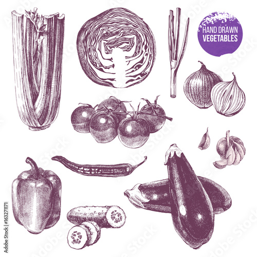 Hand drawn vegetables set