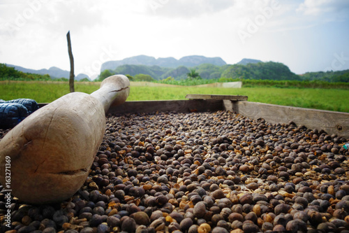 Traditionelle Kaffeeherstellung auf einer Plantage in Kuba