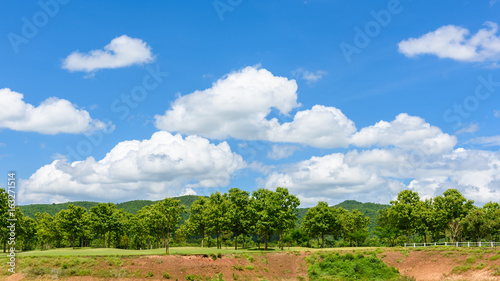 Golf course with blue sky