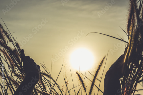 Close up on hands of woman opening high grass to sunlight in the island of Koh Phangan, Thailand photo