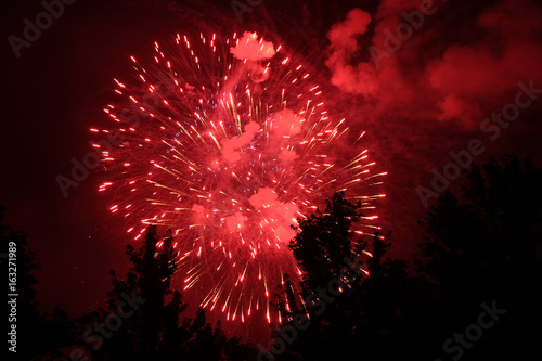 Bright red full fireworks in the park on the 4th of July