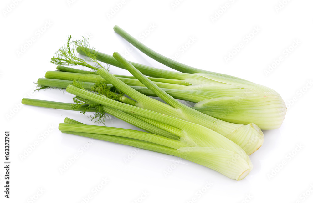 closeup fresh fennel bulb isolated on white background closeup fresh fennel bulb isolated on white background