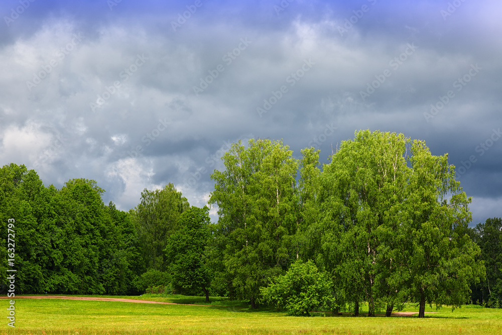 Summer landscape with meadow and trees before the rain