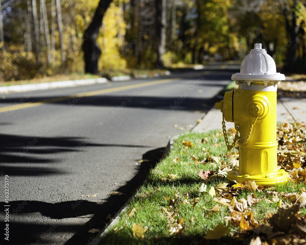 Yellow Hydrant