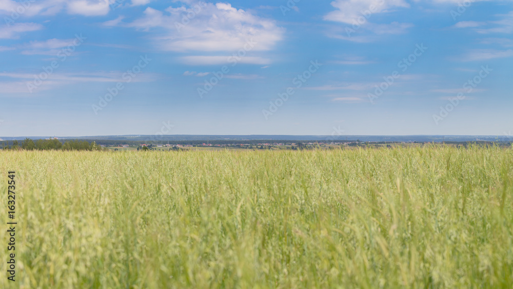 Landscape in rural area.