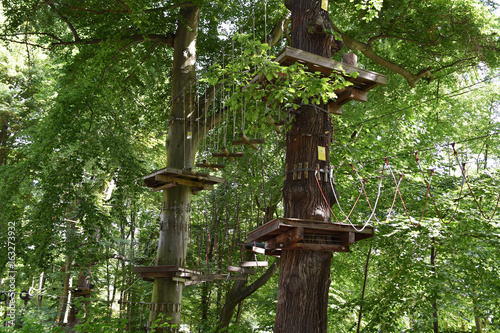Kletterwald in Thale photo