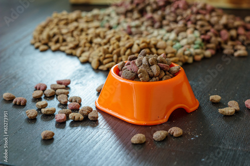 Pet food in bowl
