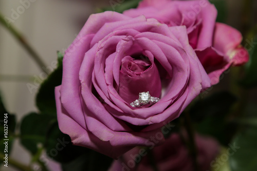 Beautiful engagement diamond wedding ring on the pink rose flower 