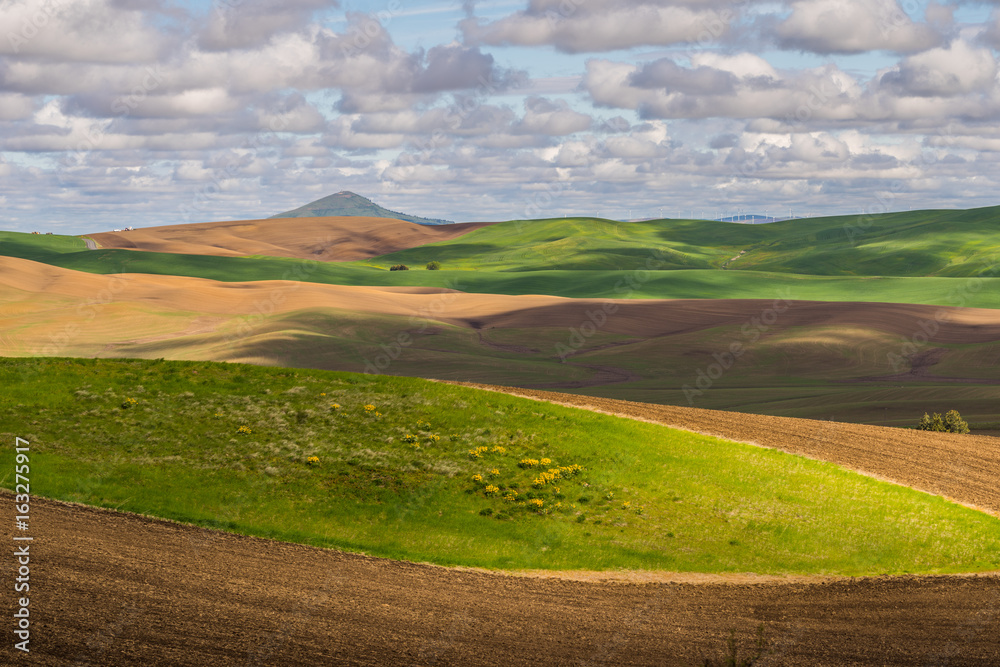 Obraz premium Amazing clouds over plowed fields, an incredible drawing of the earth. Kamiak Butte State Park, Whitman County, Washington, USA