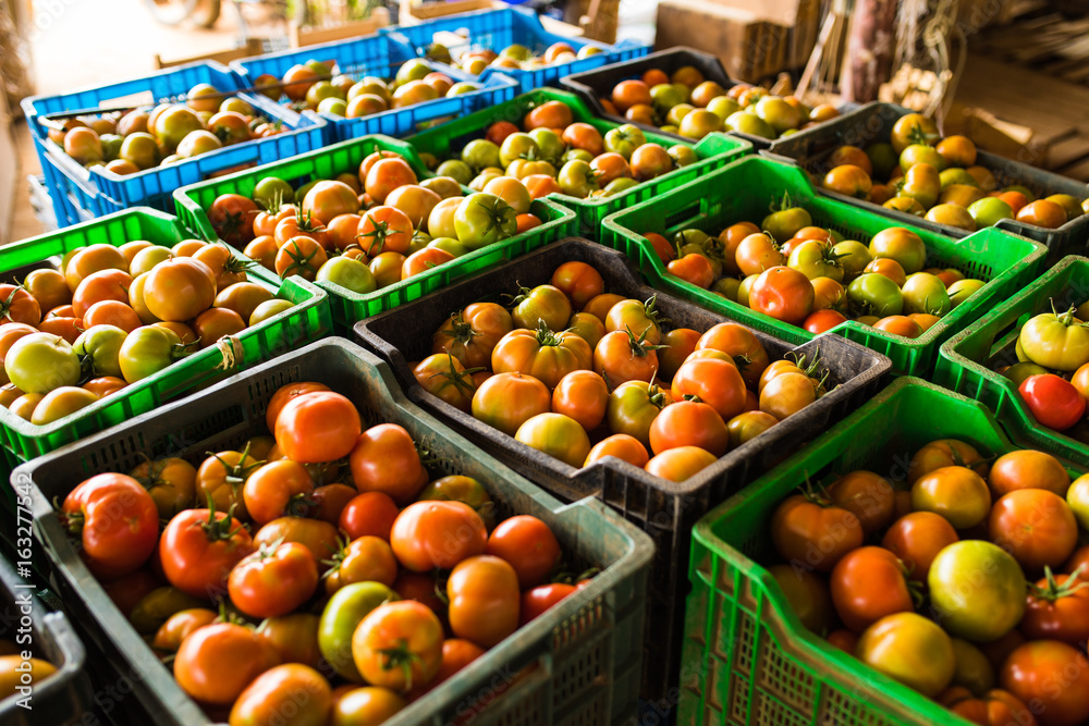 boxes full of fresh tomato vegetables  for market at retail