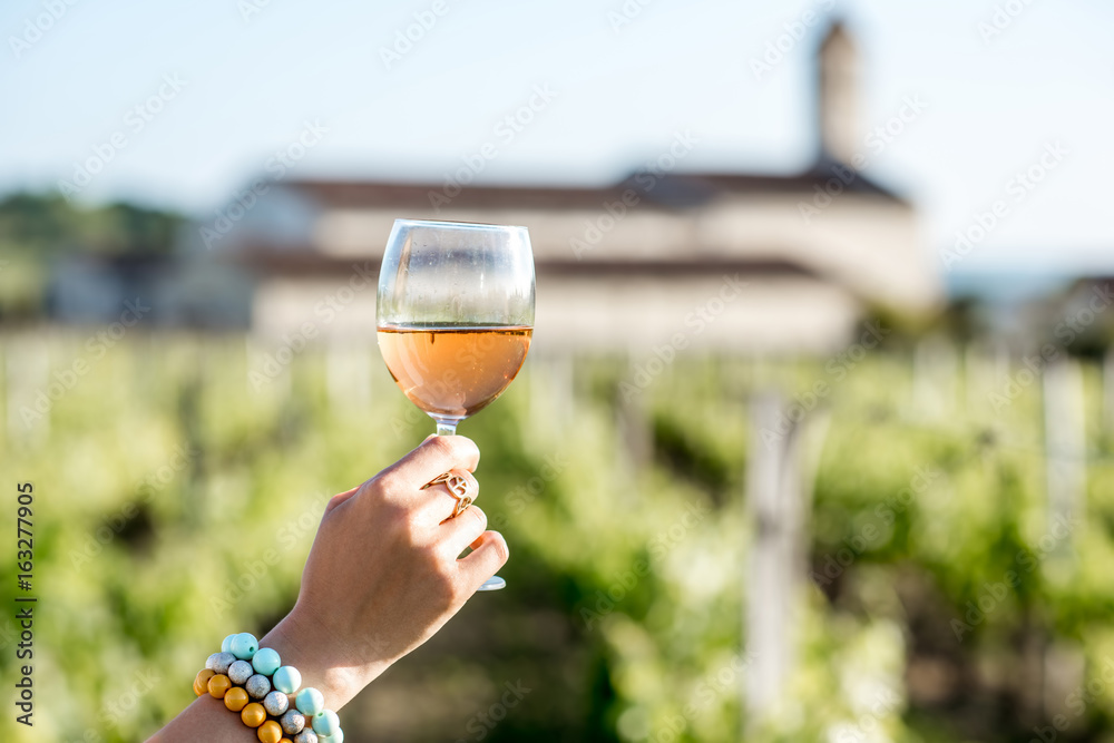 Fototapeta premium Woman holding a glass with rose wine on the vineyard background during the sunset
