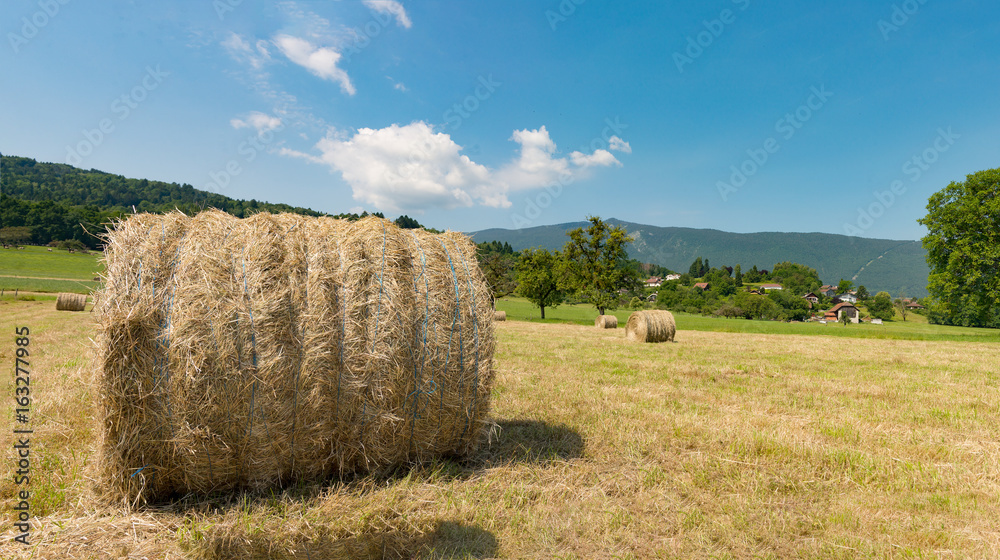 Straw bale in the field, the mountain in the background