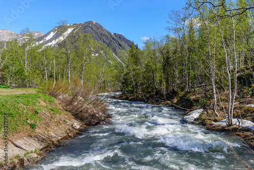 Fast, turbulent river Vudyavriok in the Hibiny (Khibiny) Mountains. Kirovsk, Kola Peninsula, Murmansk region, Russia.