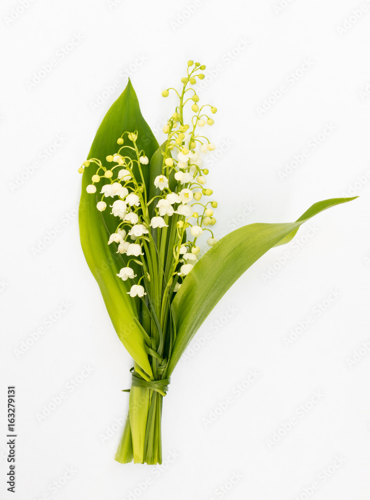 Obraz premium Bouquet of Lilies of the Valley