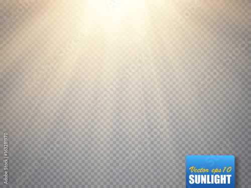 Sun isolated on transparent background. Vector illustration.