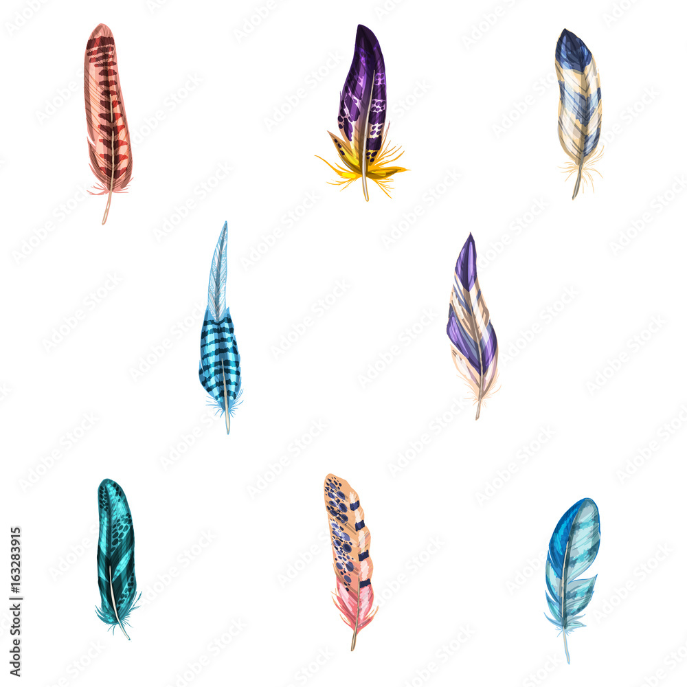 Colorful detailed bird feathers, isolated on white background. Vector illustration. Colorful detailed bird feathers, isolated on white background. Vector illustration.