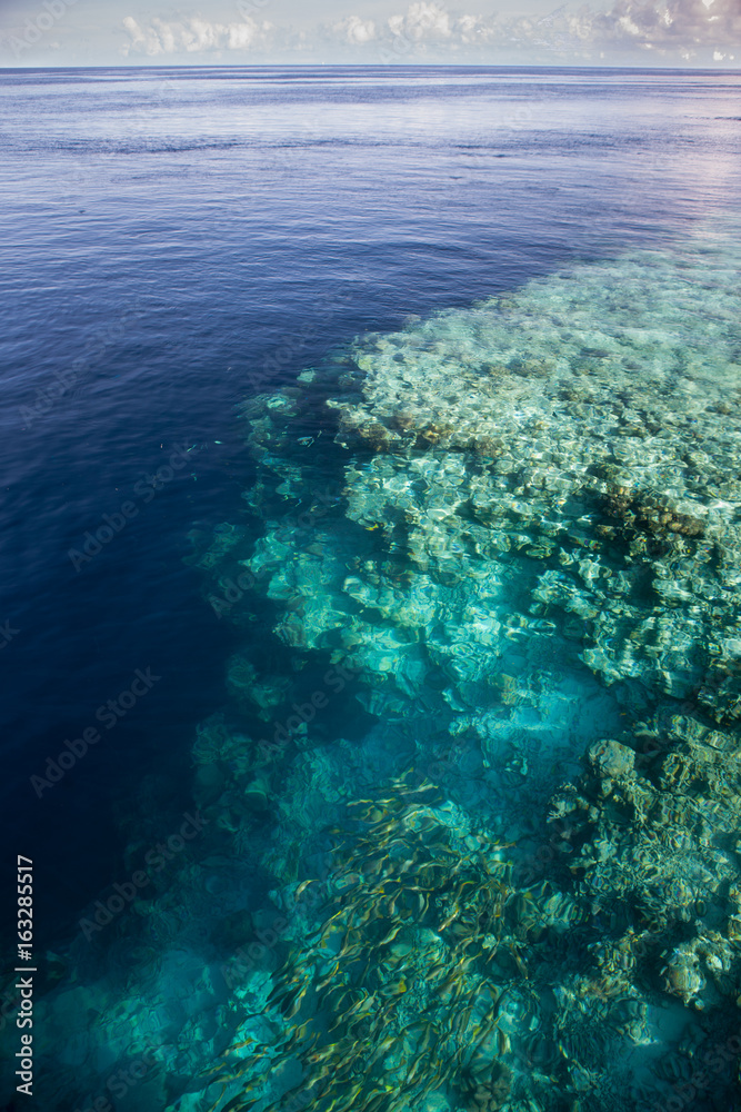 Dramatic Coral Reef Drop Off in Wakatobi National Park