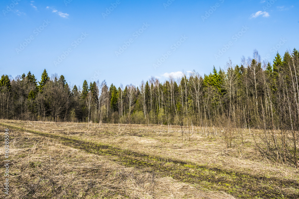 Obraz premium Прозрачное весеннее голубое небо