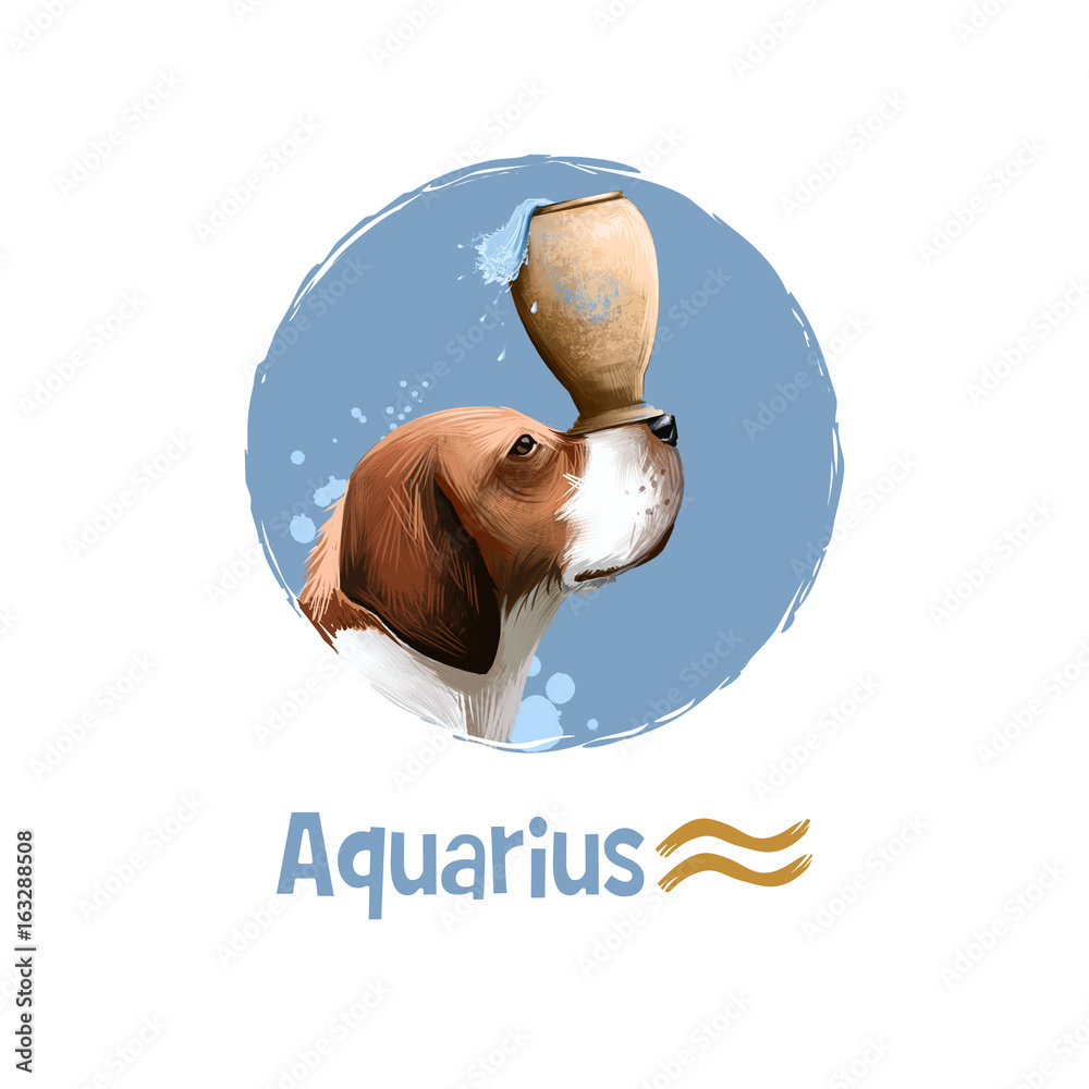 Digital art illustration of astrological sign Aquarius. 2018 year of dog.  Eleventh of twelve signs in