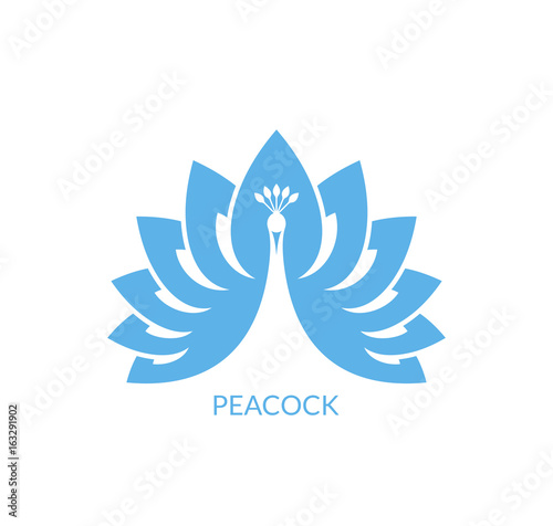 Peacock. Logo