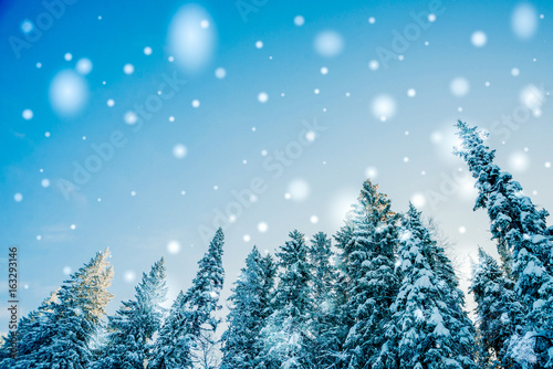 Beautiful winter landscape with snow covered trees