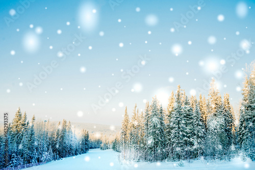 Beautiful winter landscape with snow covered trees © malykalexa777