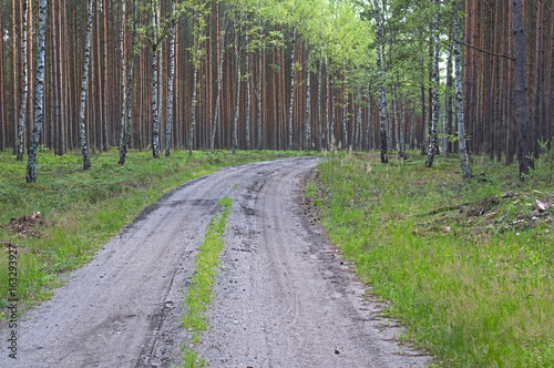 Leśna droga.