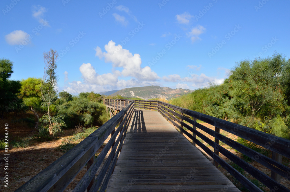 Bridge Bridge