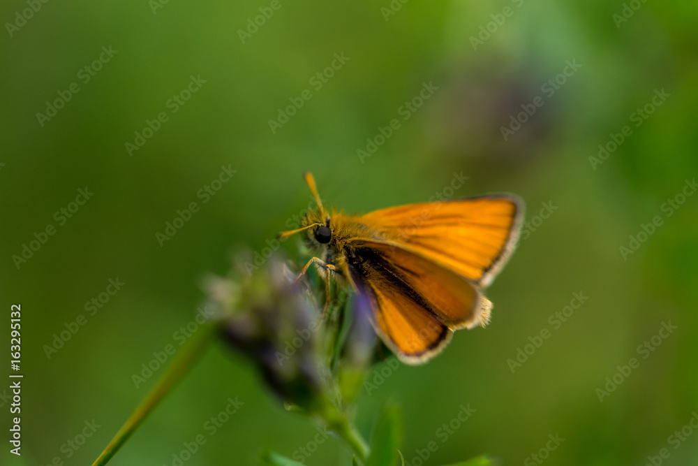 Fototapeta premium Outdoor, Freizeit, Alpen, Wandern, Bergsteigen