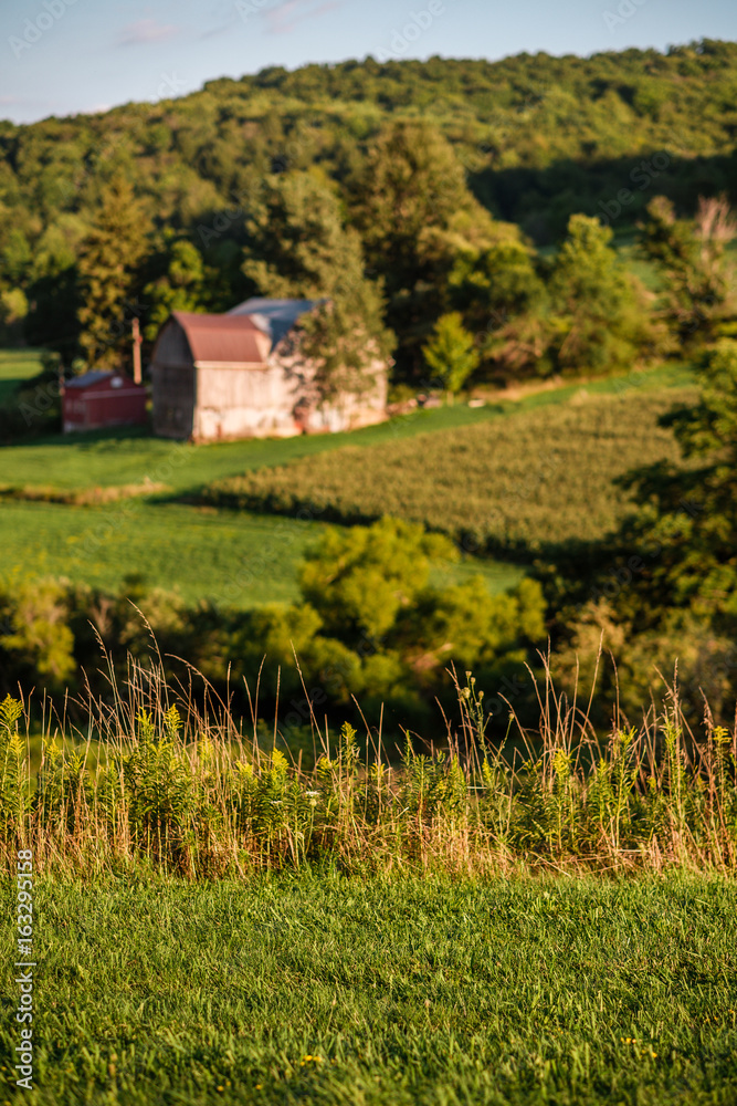 Fototapeta premium Farm in the Valley at Sunset